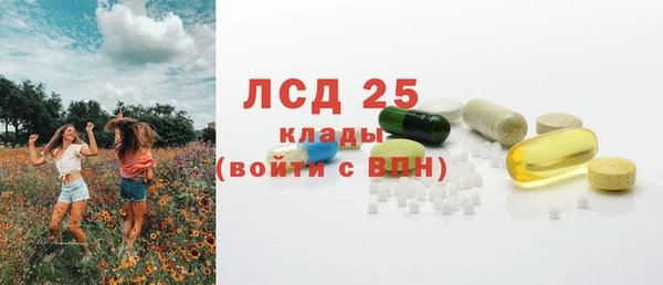ГАЛЛЮЦИНОГЕННЫЕ ГРИБЫ Пестово