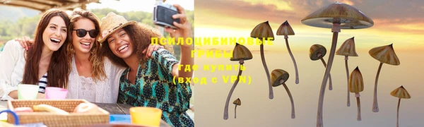 ГАЛЛЮЦИНОГЕННЫЕ ГРИБЫ Пестово