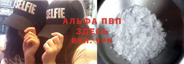 крисы Пересвет