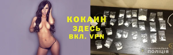 индика Переславль-Залесский