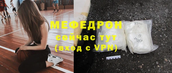 индика Переславль-Залесский
