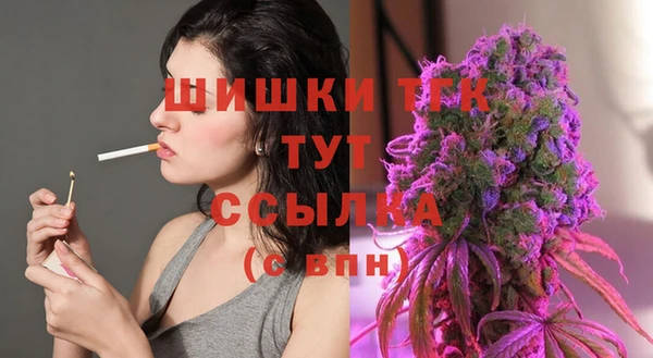 индика Переславль-Залесский
