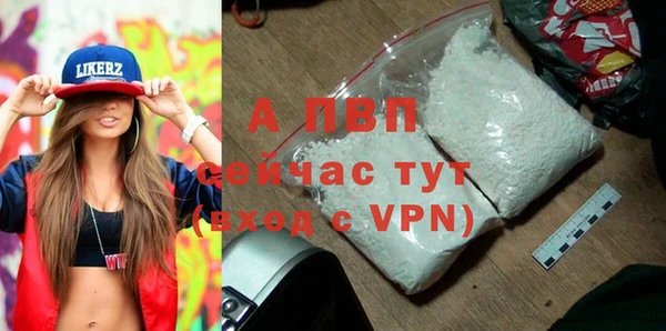 крисы Пересвет