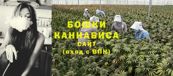 ГАЛЛЮЦИНОГЕННЫЕ ГРИБЫ Пестово