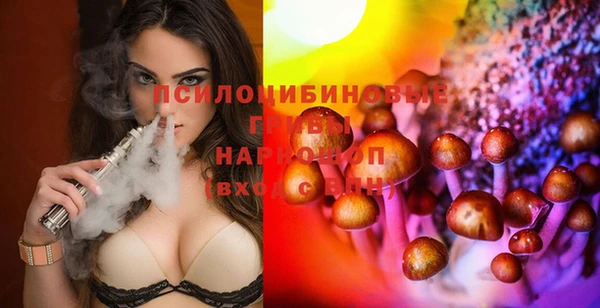 ГАЛЛЮЦИНОГЕННЫЕ ГРИБЫ Пестово
