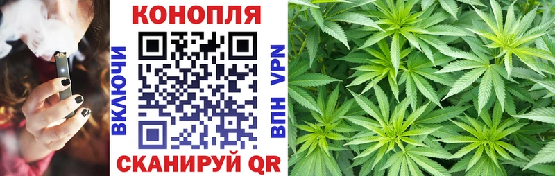 как найти   Андреаполь  Канабис ГИДРОПОН 